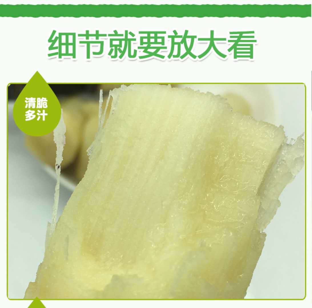 甘蔗5